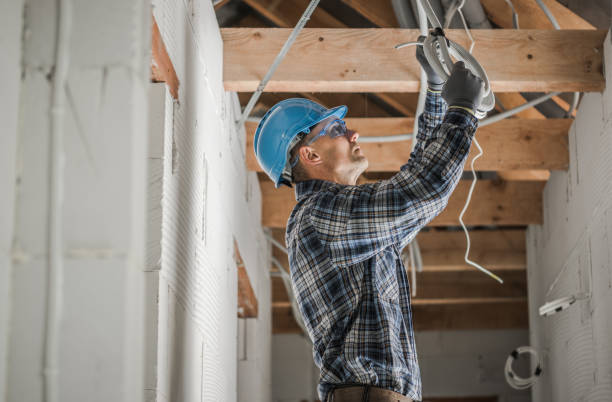 Best Electrical System Inspection  in Island Lake, IL