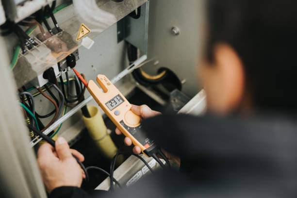Best Electric Panel Repair  in Island Lake, IL