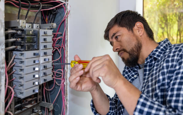 Best Electrician for Home Renovation  in Island Lake, IL